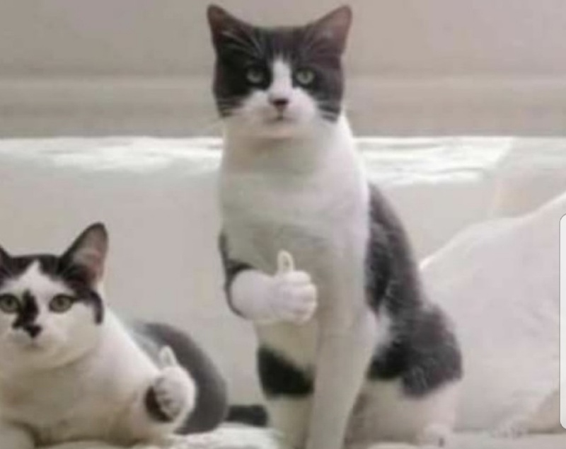 포토리뷰