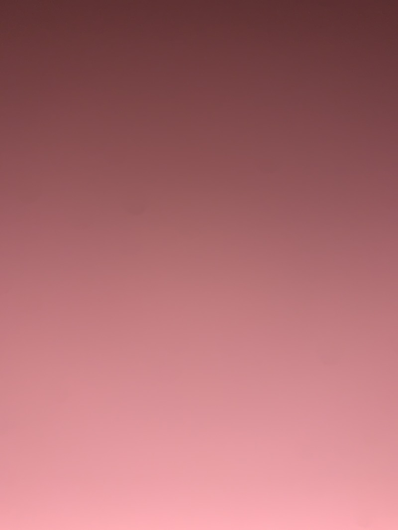 포토리뷰
