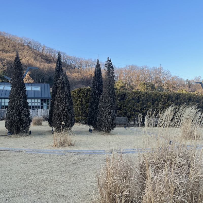 포토리뷰