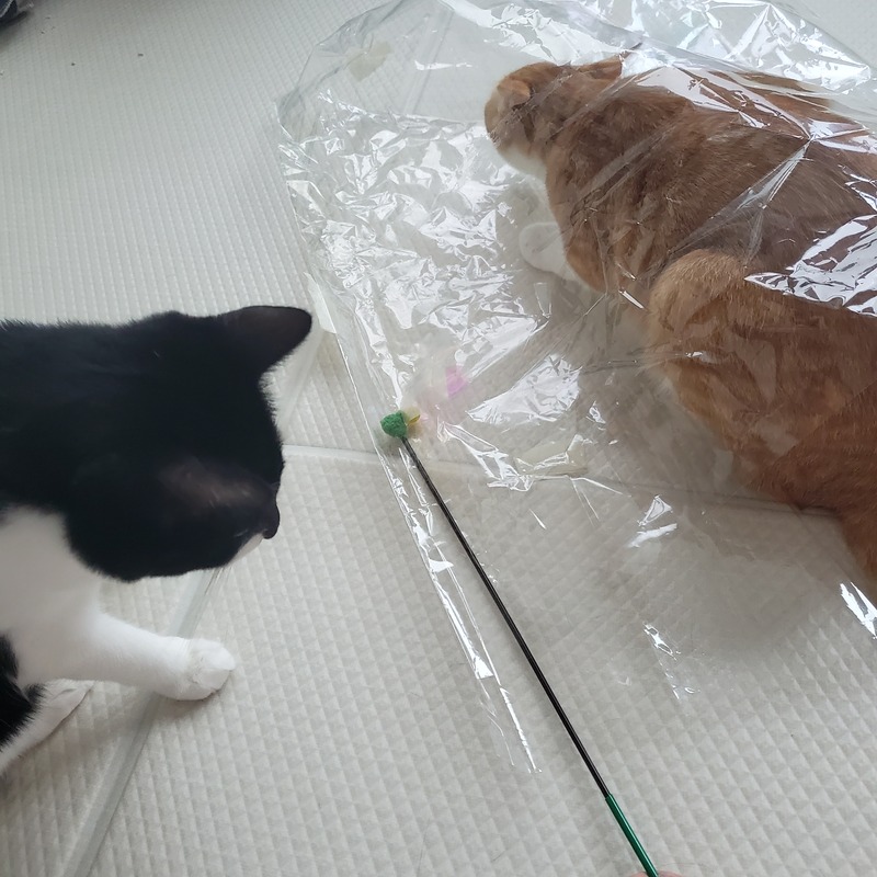 포토리뷰