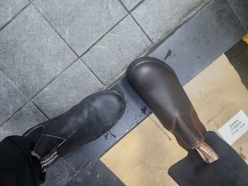 포토리뷰