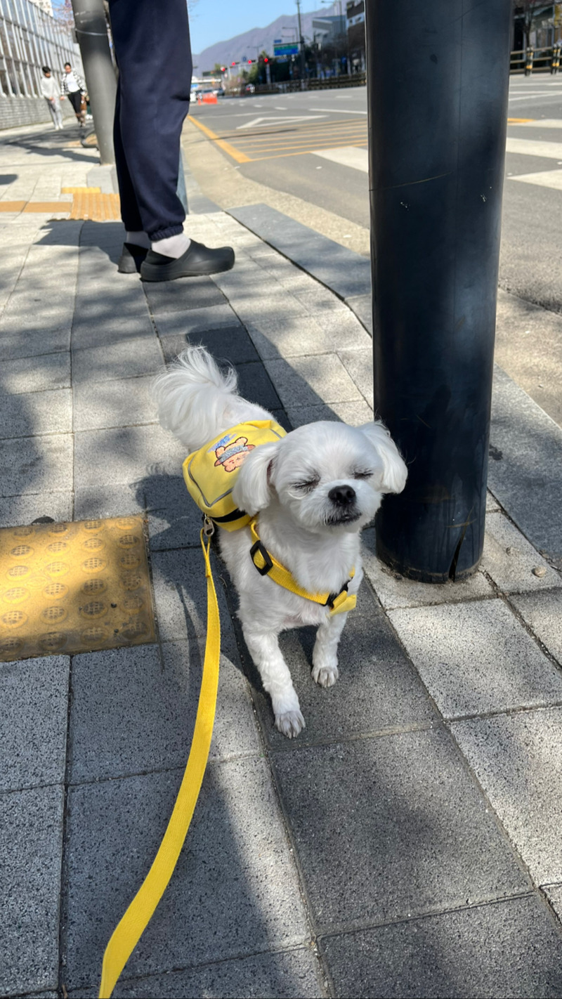 포토리뷰