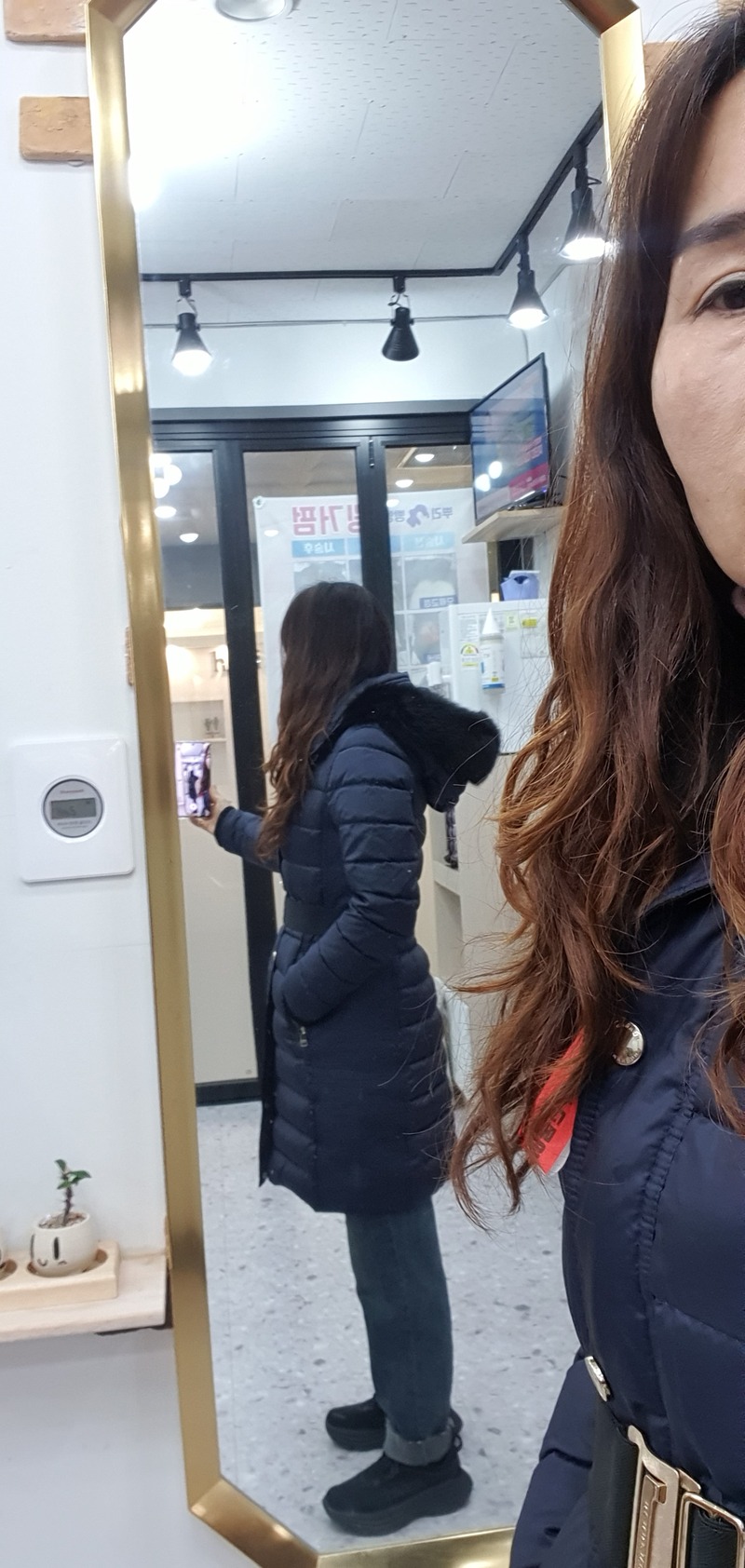 버버리