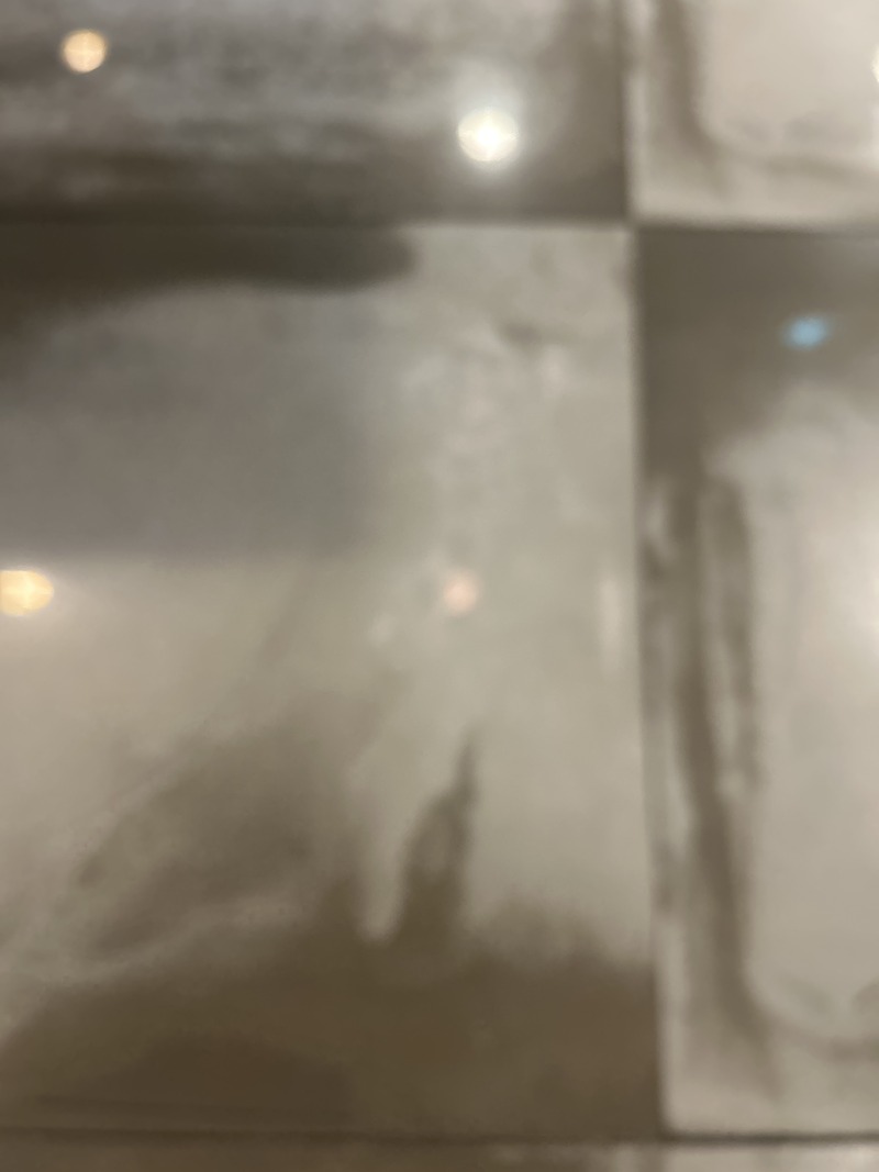 포토리뷰