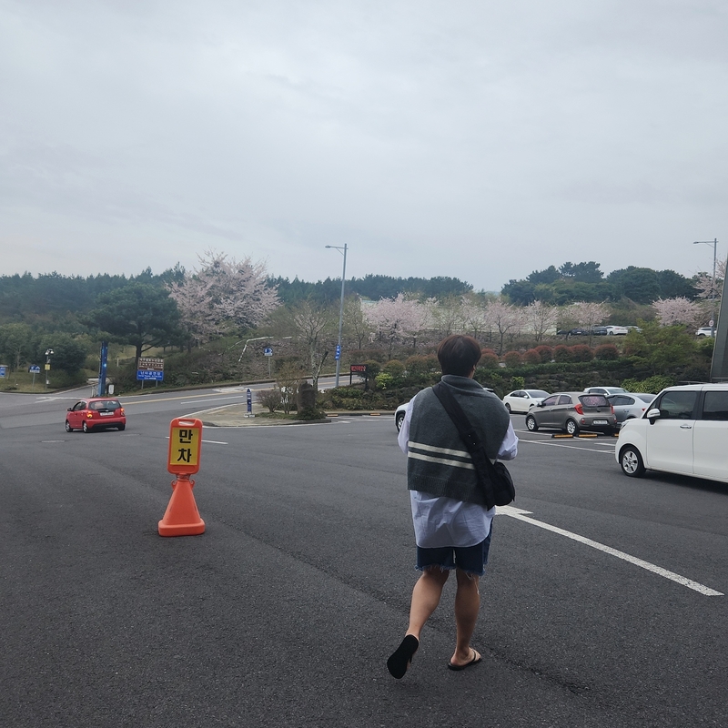 포토리뷰