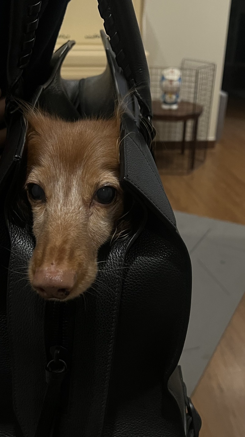 포토리뷰
