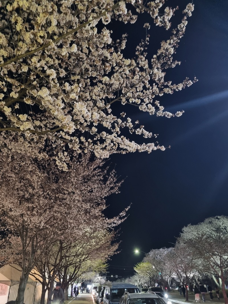 포토리뷰