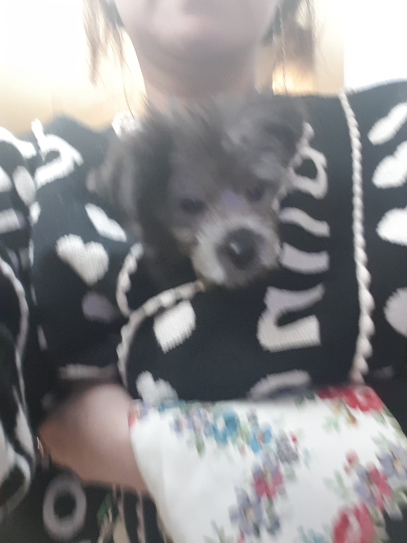 포토리뷰