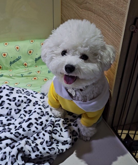 프로필